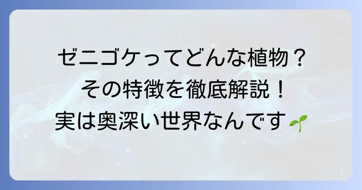 ゼニゴケとはどんな植物？基本的な分類と特徴