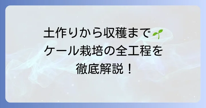 各工程を詳しく解説！ケール栽培の進め方