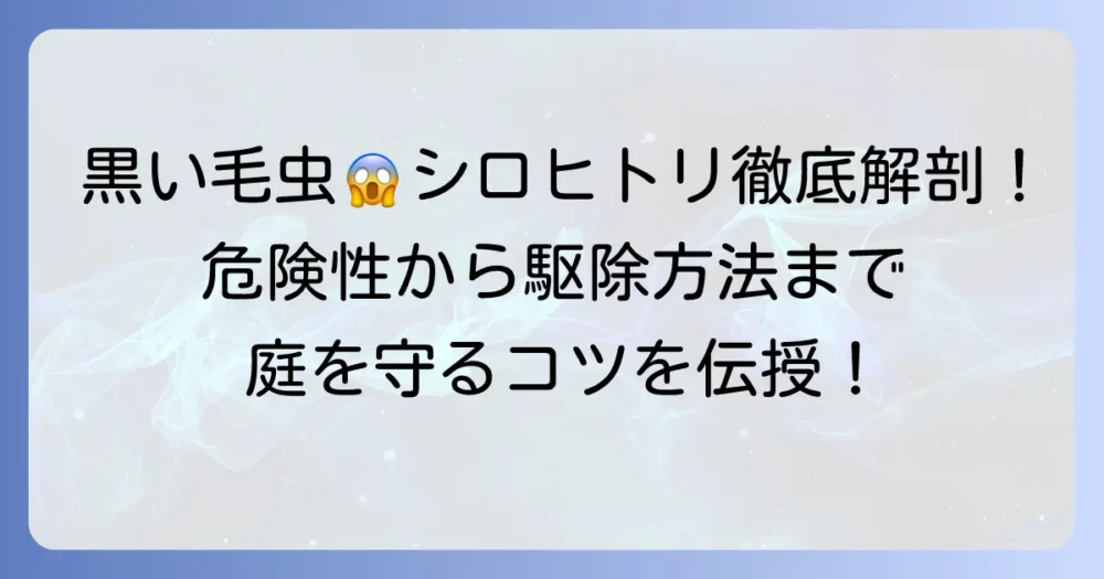 黒い毛虫シロヒトリの正体と危険性から効果的な駆除方法までを徹底解説