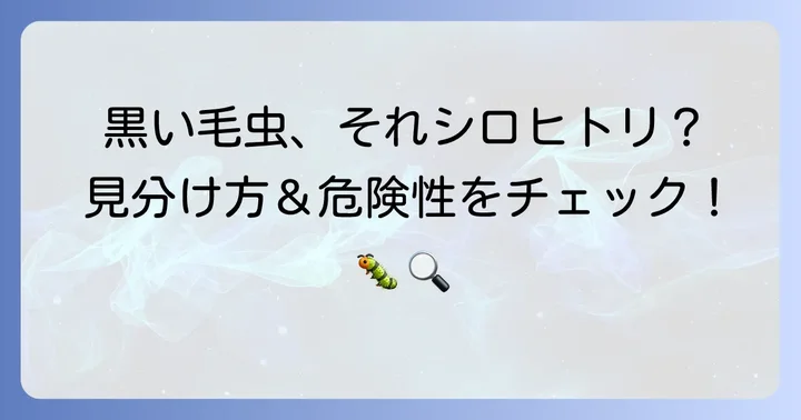 庭で見かける黒い毛虫、もしかしてシロヒトリ？その特徴と見分け方