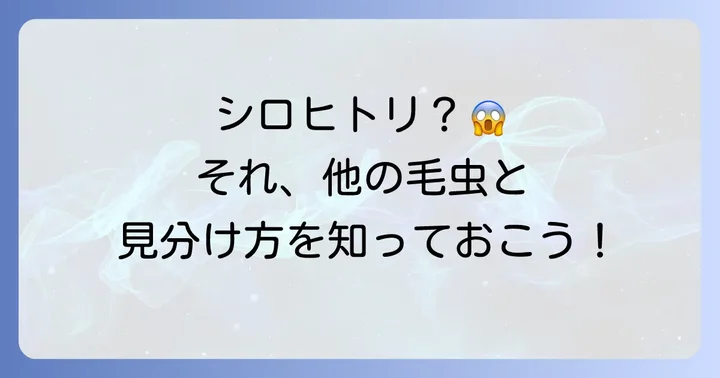 シロヒトリと間違えやすい他の毛虫との違い
