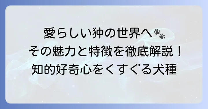 愛玩犬「狆（ちん）」の魅力と特徴