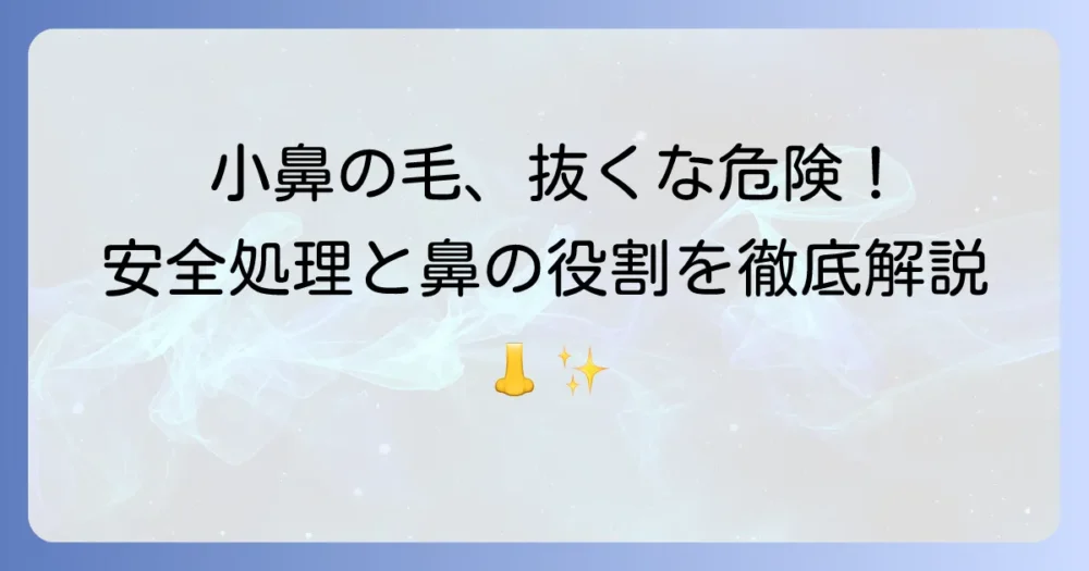 小鼻の毛を抜くのは危険？安全な処理方法と注意点を徹底解説