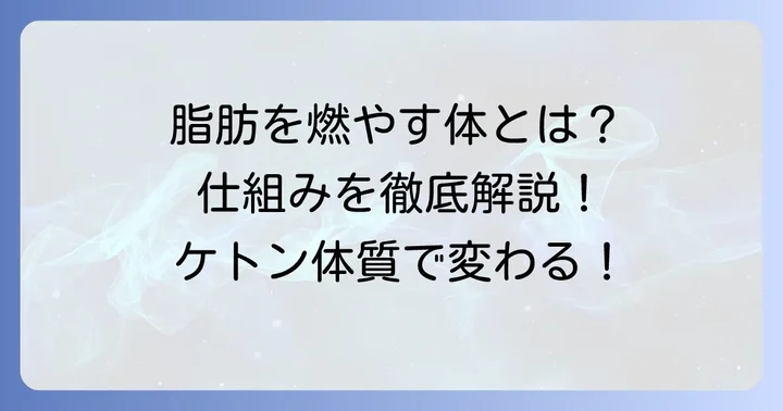 ケトン体質とは？体が脂肪をエネルギーに変える仕組み