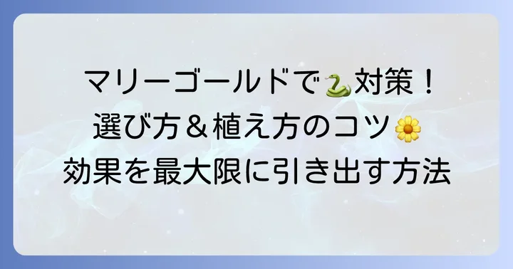蛇よけ効果を高めるマリーゴールドの選び方と植え方