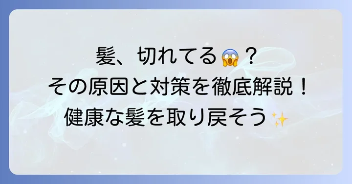 大量の切れ毛とは？その正体と髪への影響