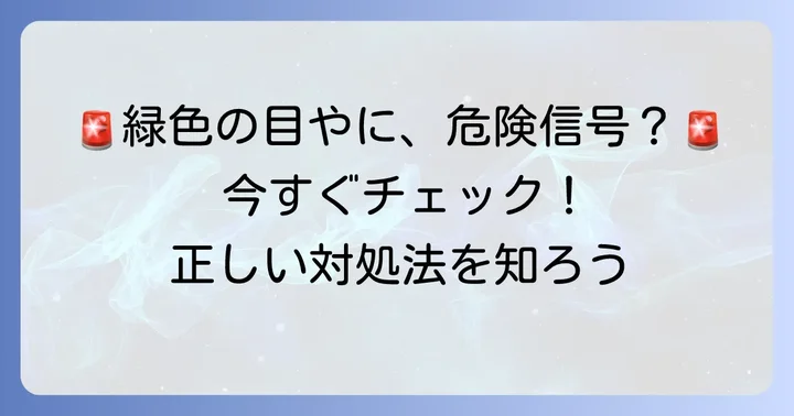 緑色の目やにが出たときの正しい対処法