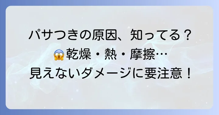 毛先がパサパサになる主な原因