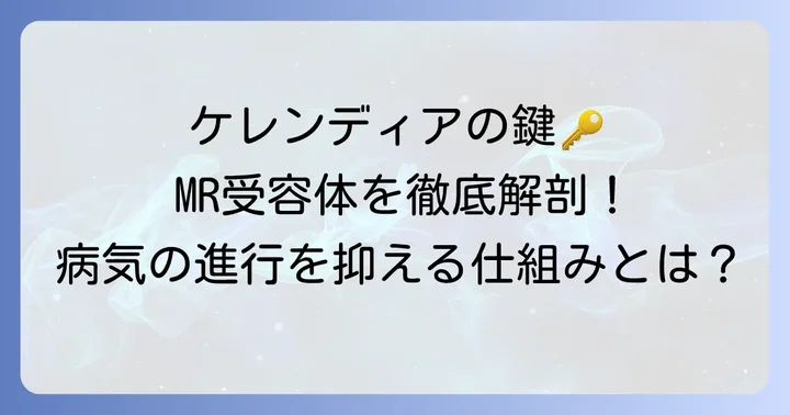 ケレンディアの核心！ミネラルコルチコイド受容体（MR）への作用機序