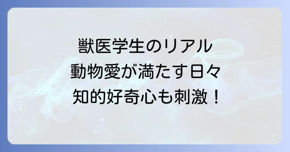 獣医学部は本当に楽しい？現役学生が語るリアルな魅力と充実した学生生活