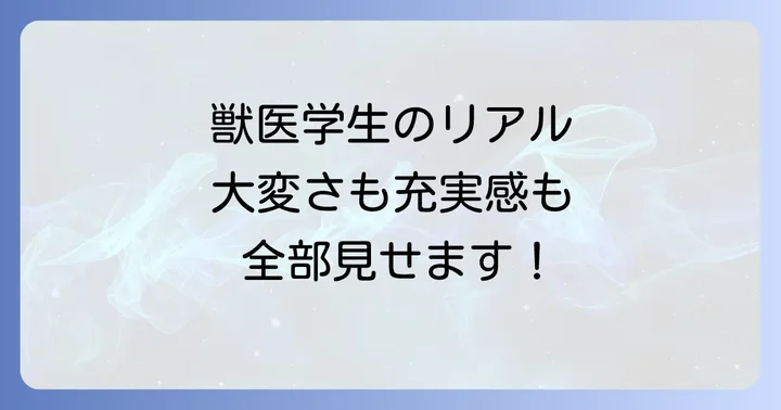 獣医学部生活のリアルな側面：大変さも乗り越える充実感