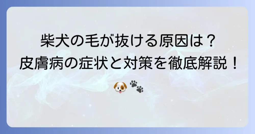 柴犬の皮膚病で毛が抜ける原因と対策を徹底解説！飼い主ができること