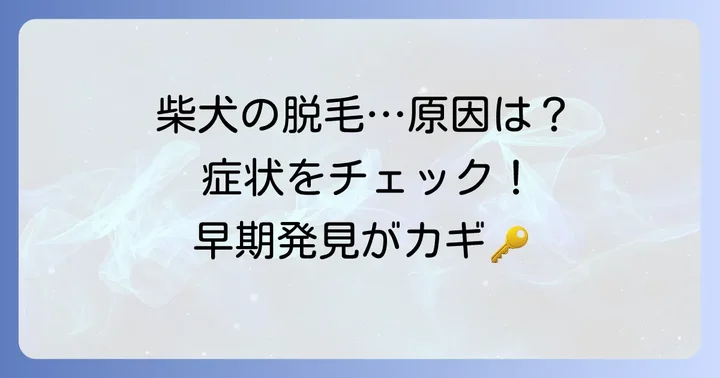 柴犬の皮膚病で毛が抜けるのはなぜ？主な原因と症状