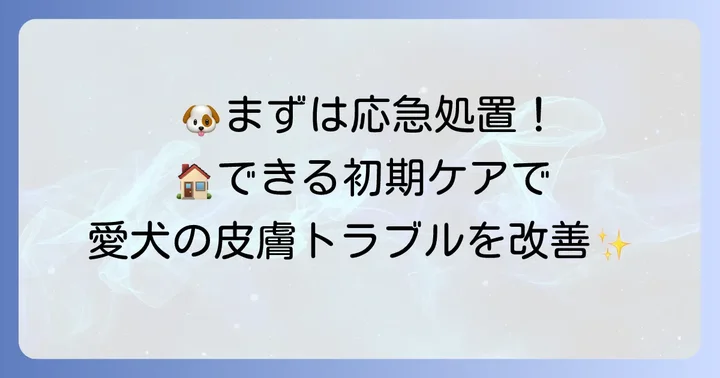 柴犬の皮膚病による脱毛を見つけたら！自宅でできる初期ケア