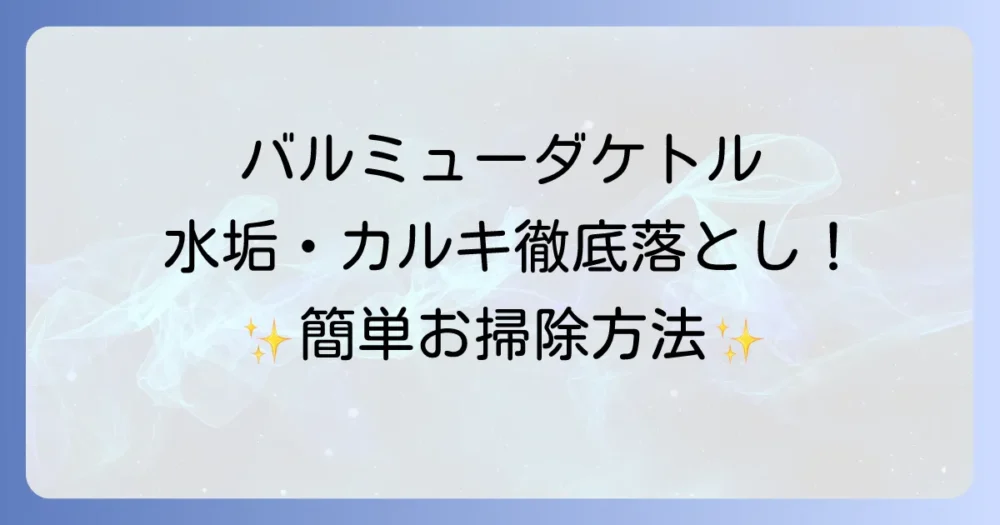 バルミューダケトルの掃除を徹底解説！水垢・カルキ汚れを落とす方法とお手入れのコツ