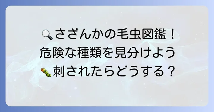 さざんかにつく毛虫の種類と見分け方