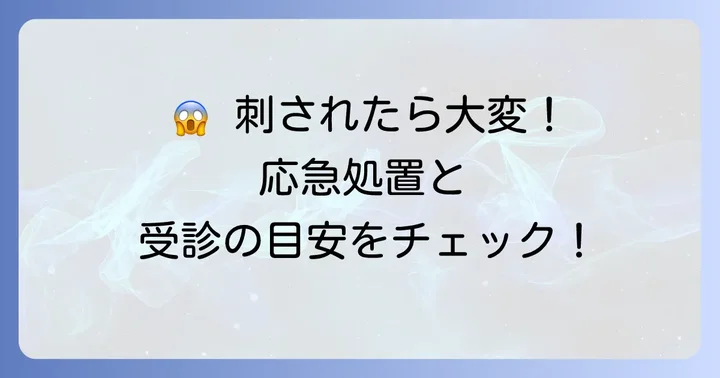 もしさざんか毛虫に刺されてしまったら