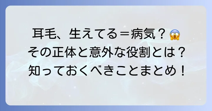 耳に毛が生えるのは病気ではない？その正体と役割