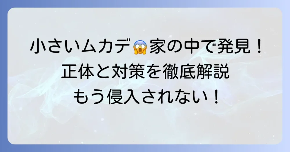 家の中に小さいムカデのような虫が！その正体と効果的な対策を徹底解説