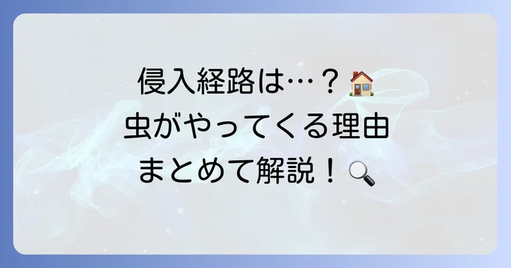 なぜ家の中に侵入するのか？発生原因と侵入経路