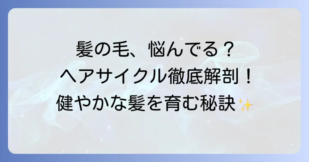 髪の毛の生え変わり周期（ヘアサイクル）を徹底解説！健康な髪を育むヘアサイクルの秘密