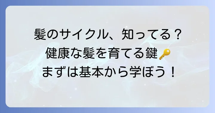 髪の毛の生え変わり周期「ヘアサイクル」の基本を知ろう