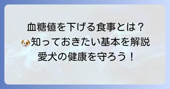 犬の血糖値を下げる食事管理の基本原則