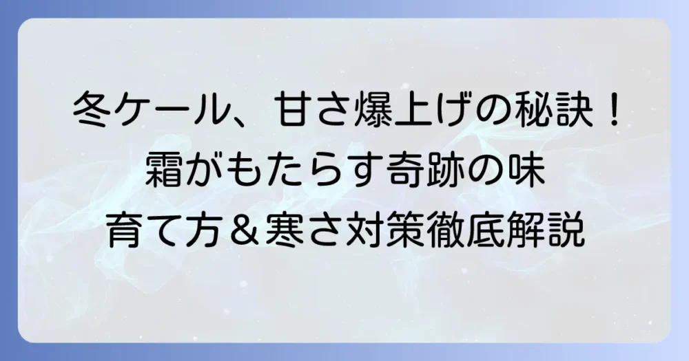 ケール栽培の冬のコツと寒さ対策で甘みを引き出す育て方：徹底解説