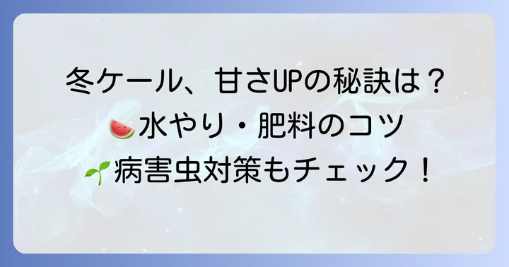 冬のケール管理のコツ