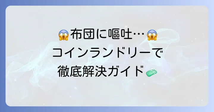 嘔吐した布団コインランドリーで洗う前の大切な準備