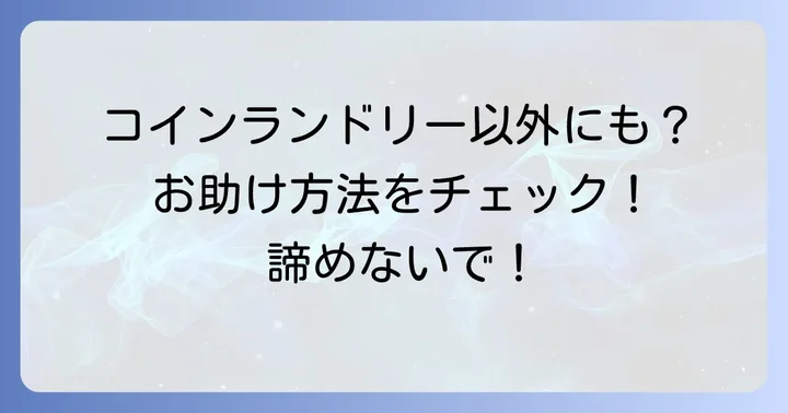 コインランドリー利用が難しい場合の選択肢