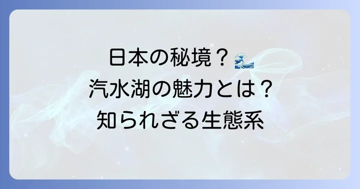 汽水湖とは？日本が誇る独特な水辺の環境