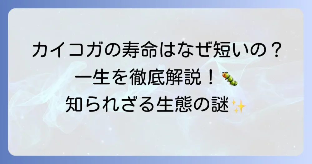 蚕成虫の寿命はなぜ短い？カイコガの生態と一生を徹底解説