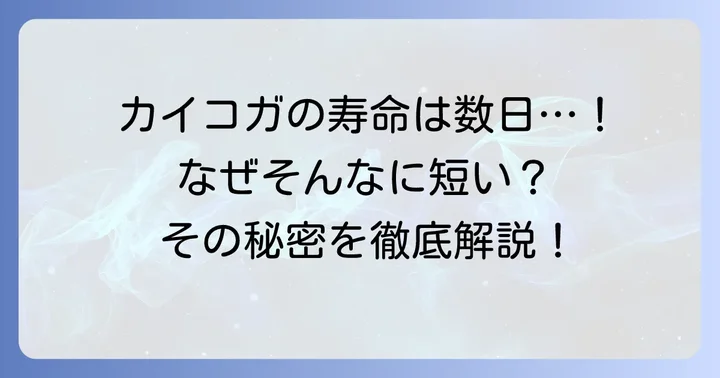 蚕成虫（カイコガ）の寿命はわずか数日！その驚きの短さの理由