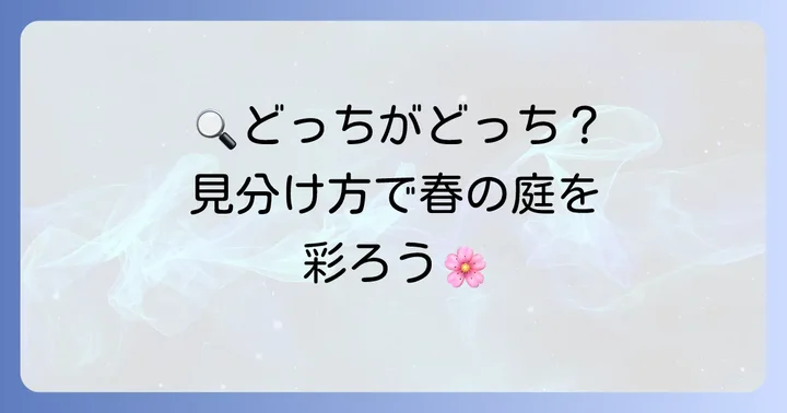 シデコブシとコブシの見分け方