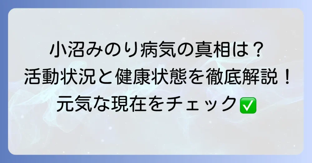 小沼みのりさんの病気の真相は？現在の活動状況と健康状態を徹底解説