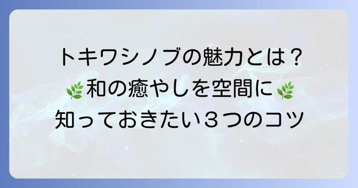 トキワシノブ苔玉の魅力とは？