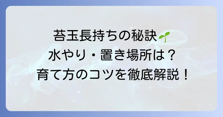 トキワシノブ苔玉を長持ちさせる育て方と管理のコツ