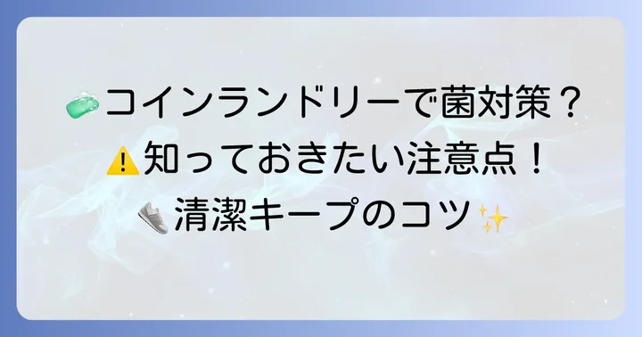 コインランドリーで靴を洗う際の注意点と衛生管理