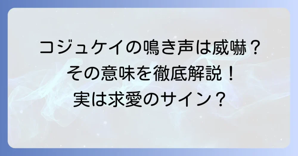コジュケイの鳴き声は威嚇?その意味と生態を徹底解説