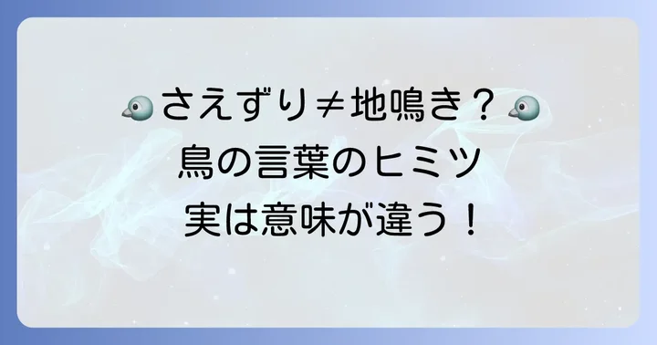 鳥の鳴き声に隠された意味：さえずりと地鳴き