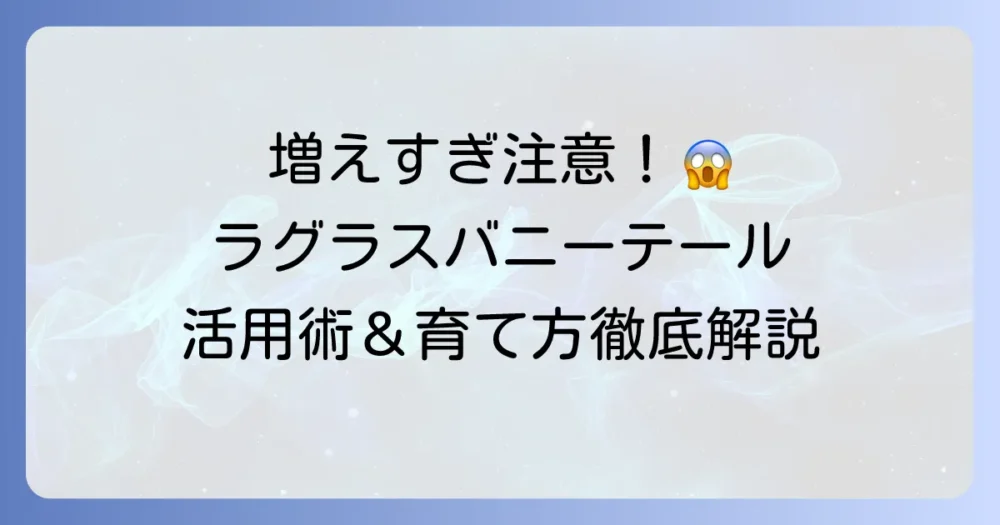 ラグラスバニーテールのこぼれ種活用術！増えすぎ対策と育て方を徹底解説