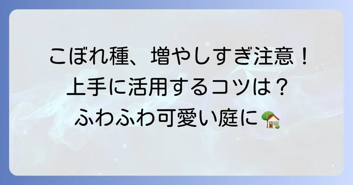 ラグラスバニーテールのこぼれ種を上手に活用するコツ