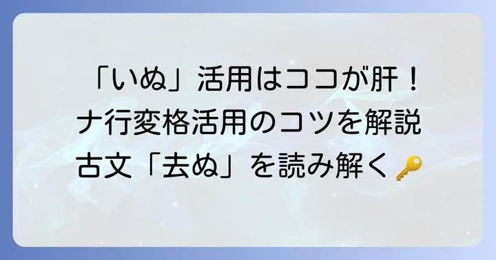「去ぬ」とは？動詞「いぬ」のナ行変格活用