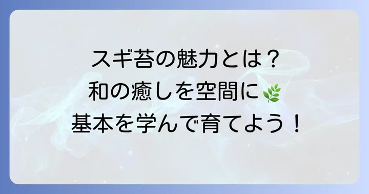スギ苔の魅力と基本を知ろう