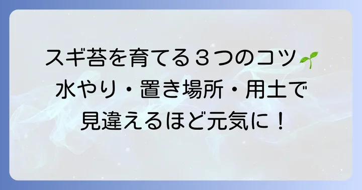 スギ苔の基本的な育て方と栽培のコツ