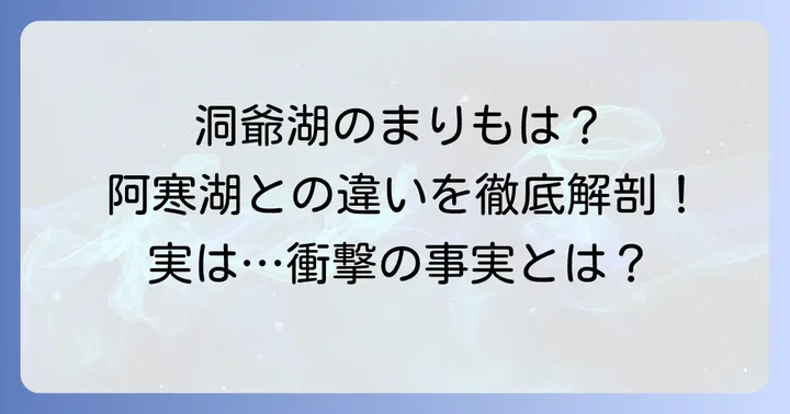 洞爺湖でまりもは買える？阿寒湖との違いをまず知ろう