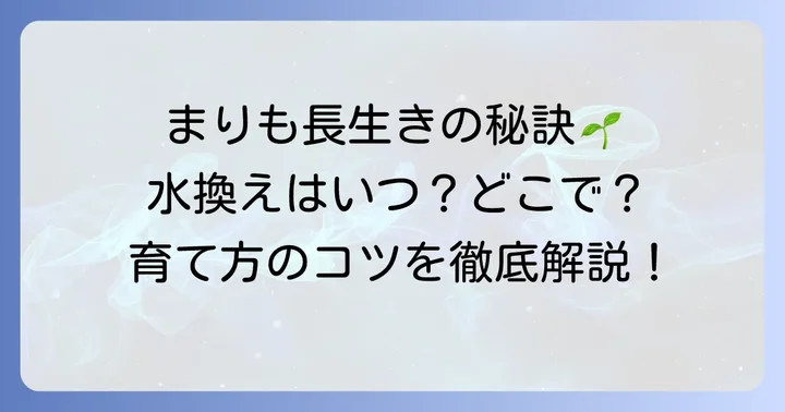 洞爺湖まりもを長生きさせる飼育方法