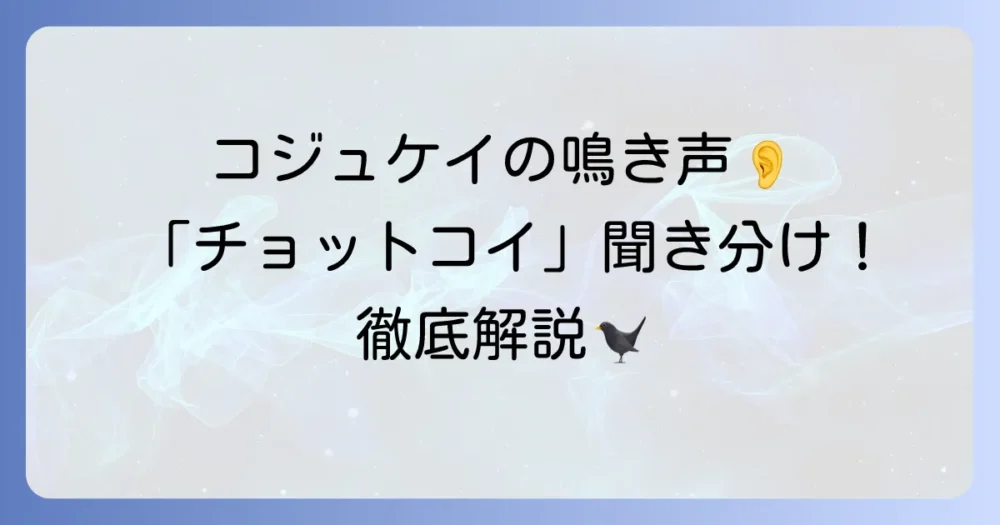コジュケイの鳴き声に似ている鳥は?聞き分けのコツと特徴を徹底解説