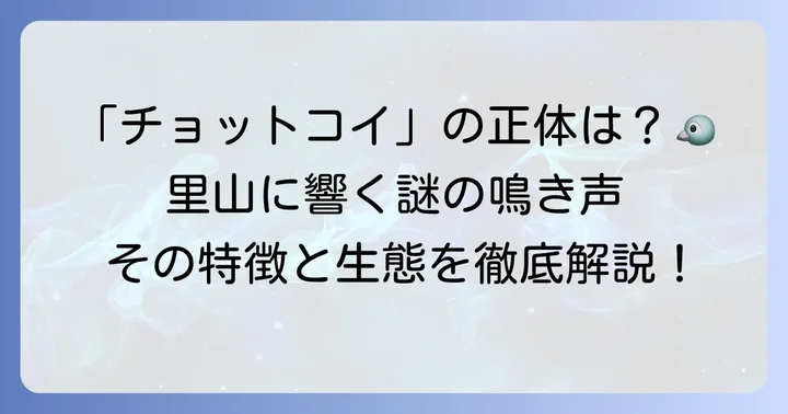 コジュケイの鳴き声「チョットコイ」の魅力と特徴